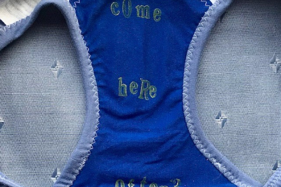 Bees Knees: medium large undies made from Tshirts