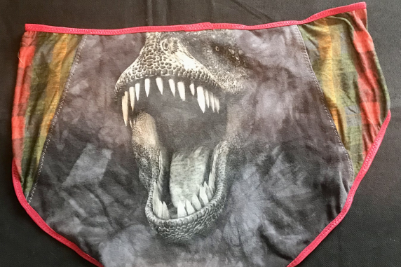 Bite Me, Dinosaur: plus size undies made from Tshirts