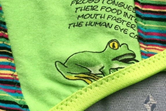 Frog Series Stripe: medium undies made from Tshirts