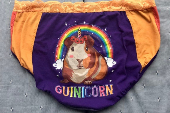 Guineacorn: large undies made from Tshirts