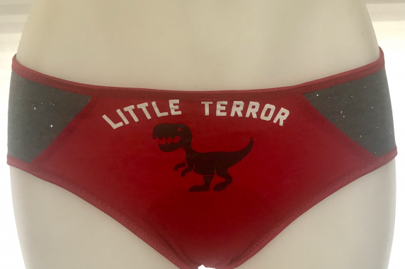 Little Terror: small undies made from Tshirts