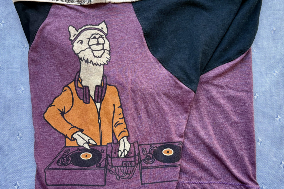 DJ Llama: medium briefs made from t shirts