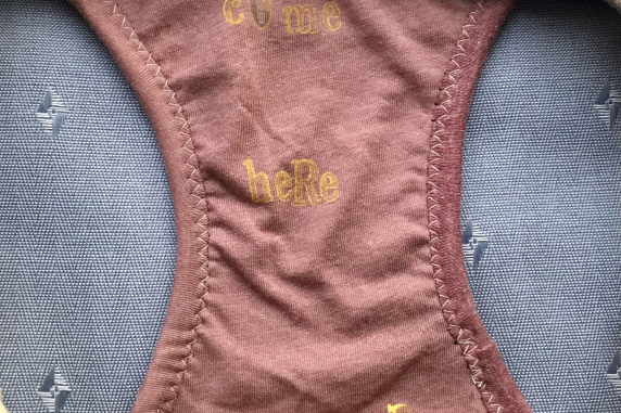 Scout's Honor: medium undies made from Tshirts
