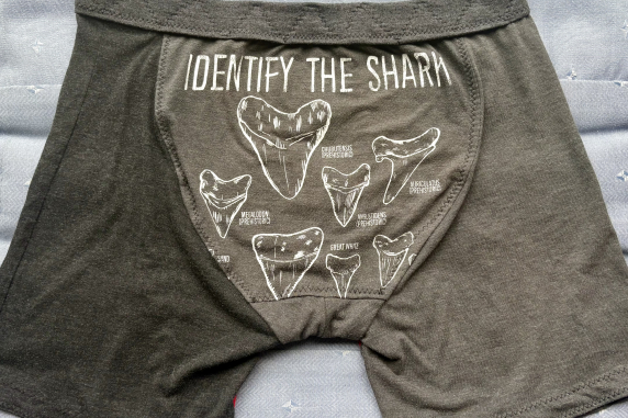 Shark ID: 30 inch waistband small tshirt briefs