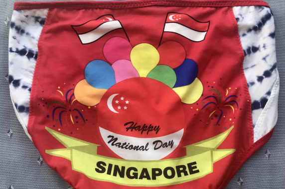 Singapore Day: medium large undies made from Tshirts