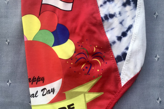 Singapore Day: medium large undies made from Tshirts