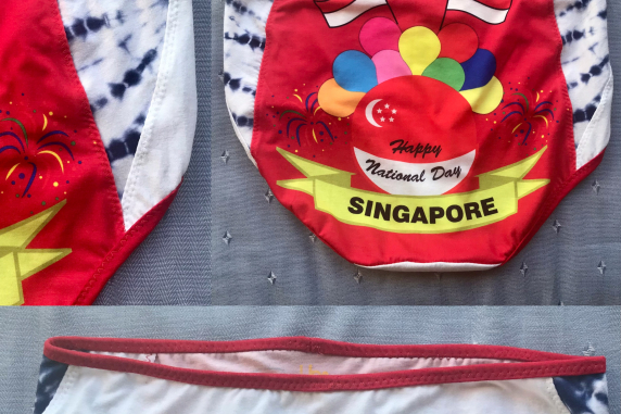 Singapore Day: medium large undies made from Tshirts