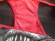 Bite Me, Dinosaur: plus size undies made from Tshirts