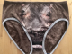Hippo Bootie: large undies made from t shirts