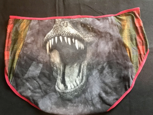 Bite Me, Dinosaur: plus size undies made from Tshirts