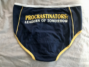 Pro Crastinator: extra large undies made from Tshirts